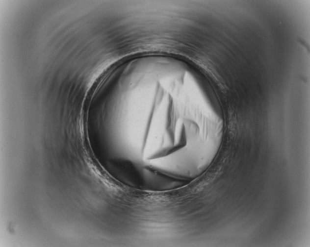 X0000101960888200808011105