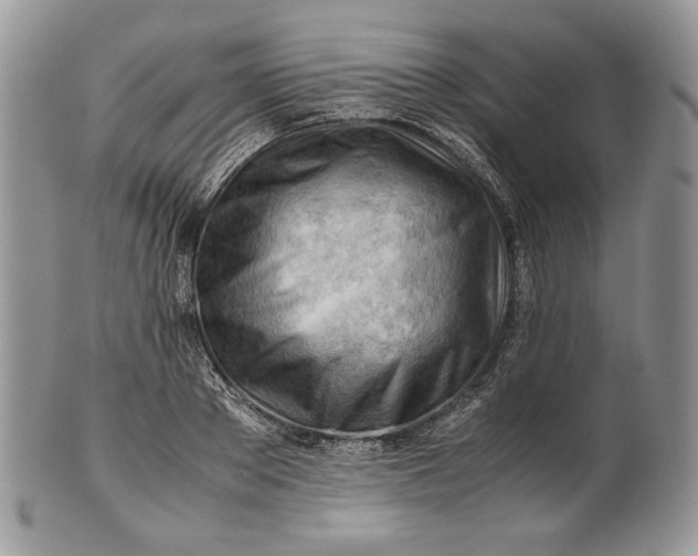 X0000101960889200808011105