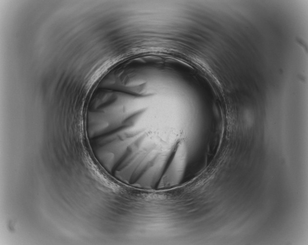 X0000101960890200808011105