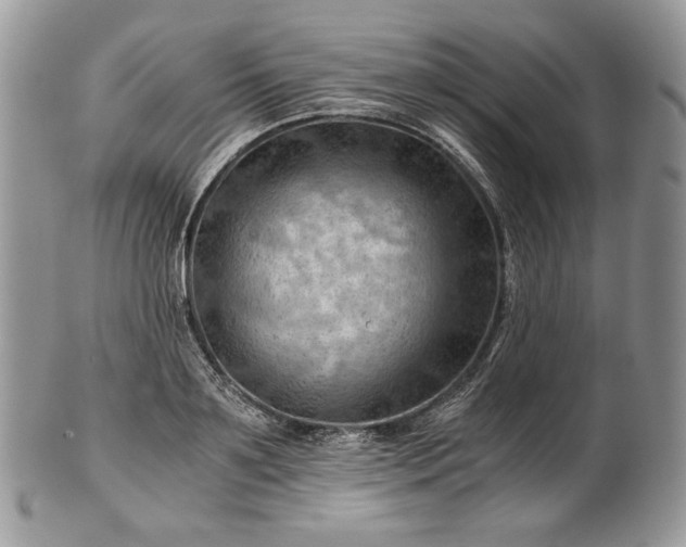 X0000101960891200808011105