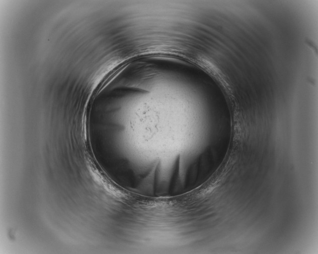 X0000101960892200808011105