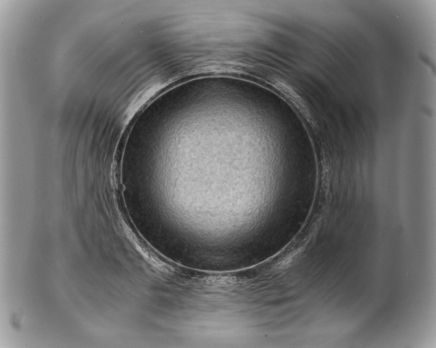 X0000101960893200808011105