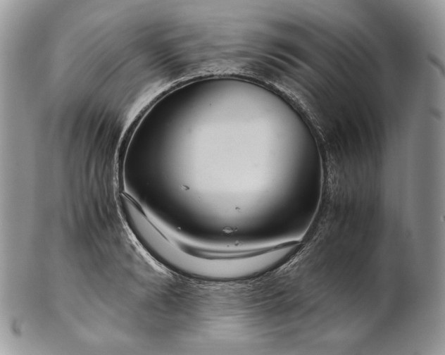 X0000101960894200808011105