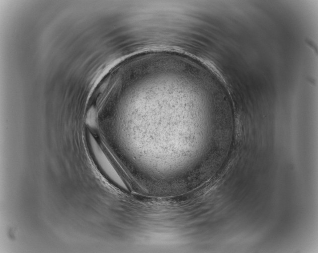 X0000101960895200808011105