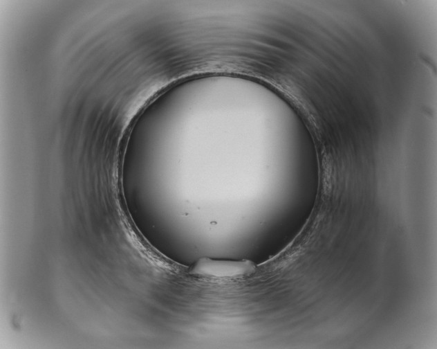 X0000101960896200808011105