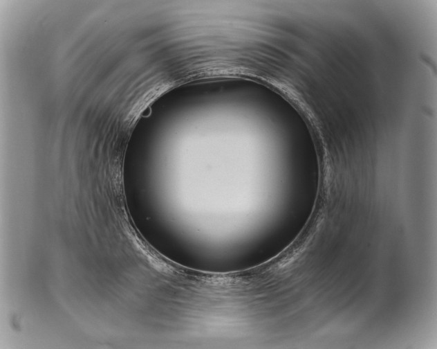 X0000101960897200808011105