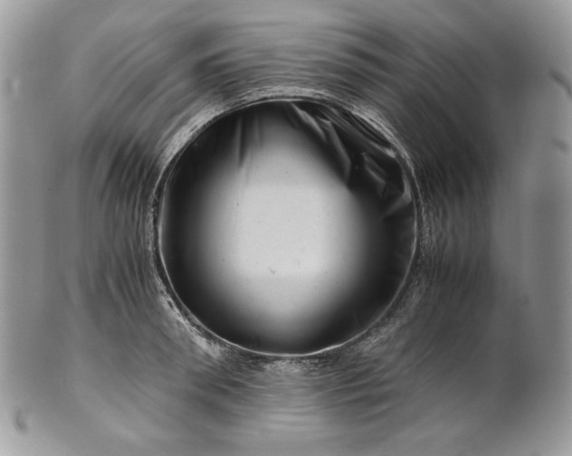 X0000101960898200808011105