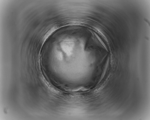 X0000101960899200808011105