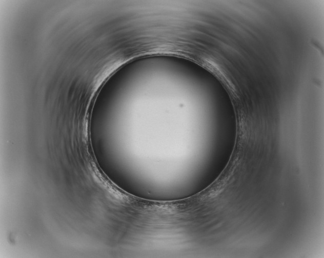 X0000101960900200808011105