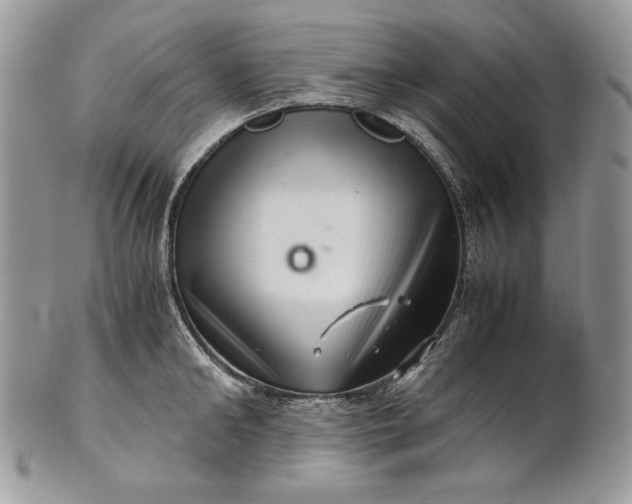 X0000101960902200808011105