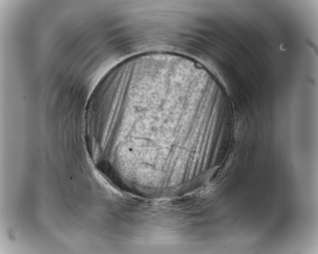 X0000101960903200808011105