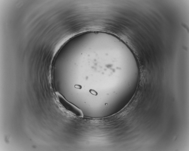 X0000101960904200808011105