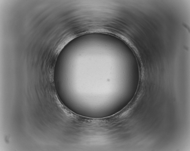 X0000101960905200808011105