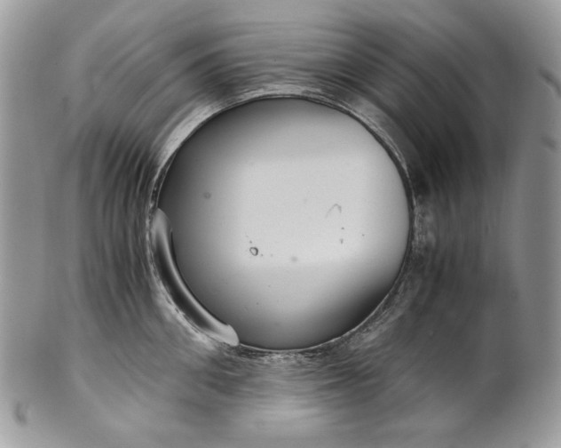 X0000101960906200808011105