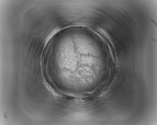 X0000101960907200808011105