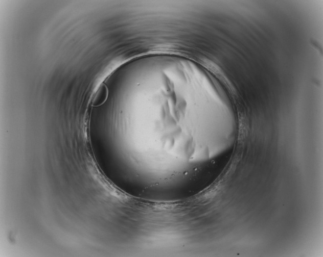 X0000101960908200808011105