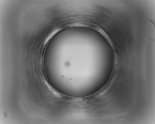 X0000101960909200808011105