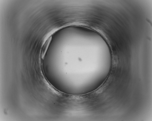 X0000101960910200808011105