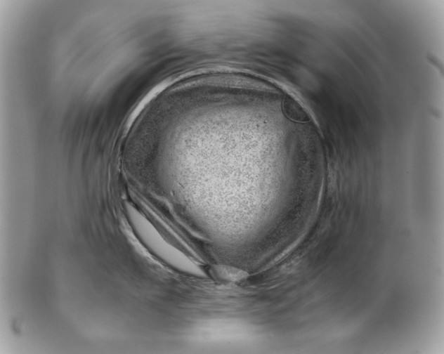 X0000101960911200808011105