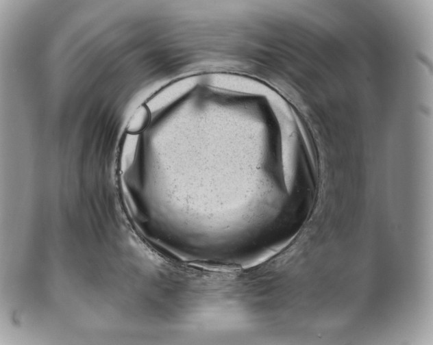 X0000101960912200808011105