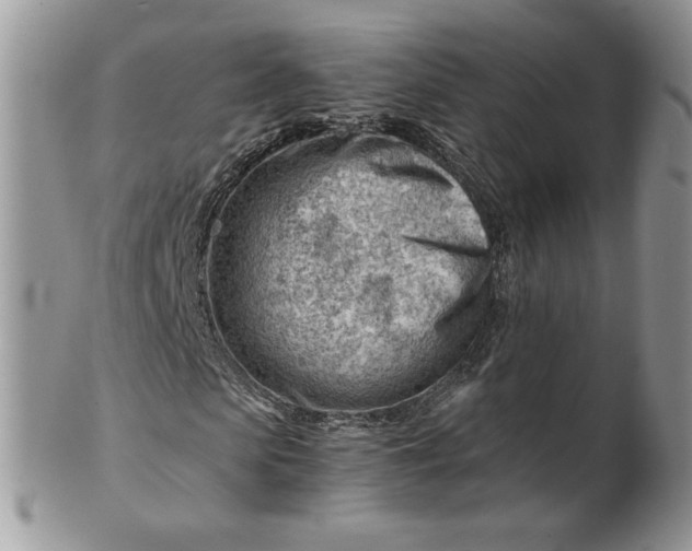 X0000101960913200808011104