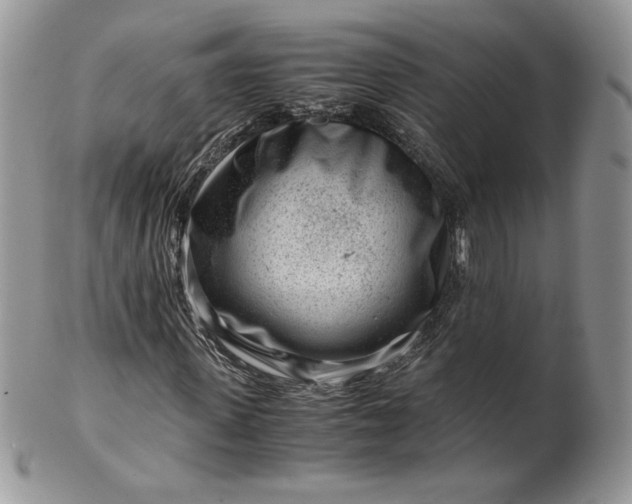 X0000101960915200808011104