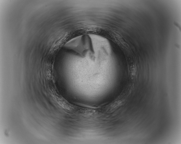 X0000101960916200808011104