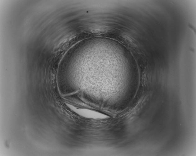 X0000101960917200808011104