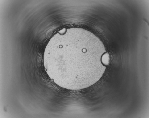 X0000101960918200808011104