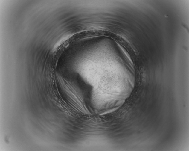 X0000101960919200808011104