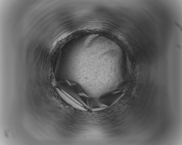 X0000101960920200808011104