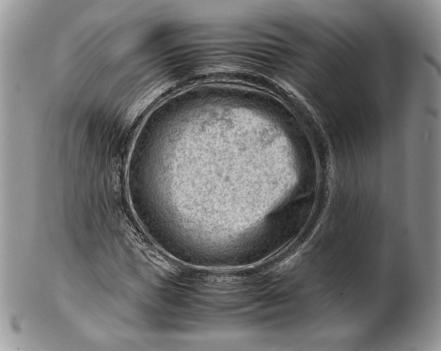 X0000101960921200808011104