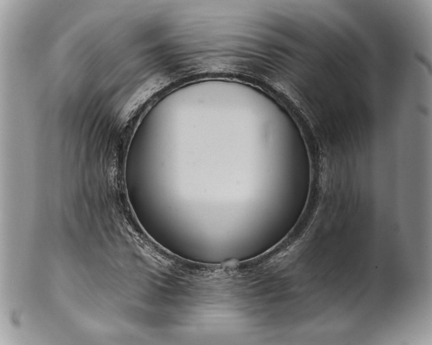 X0000101960922200808011104