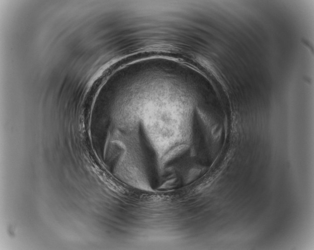 X0000101960923200808011104