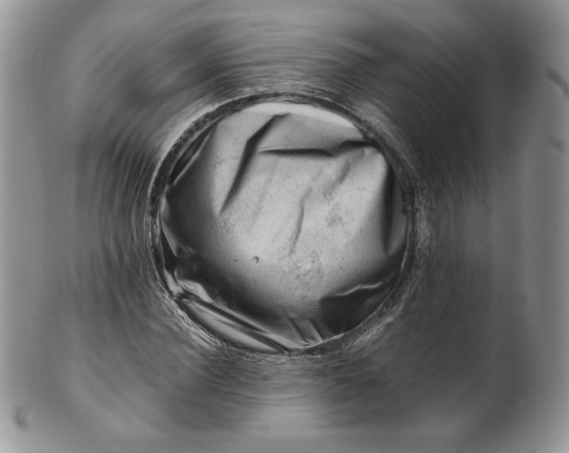 X0000101960924200808011104