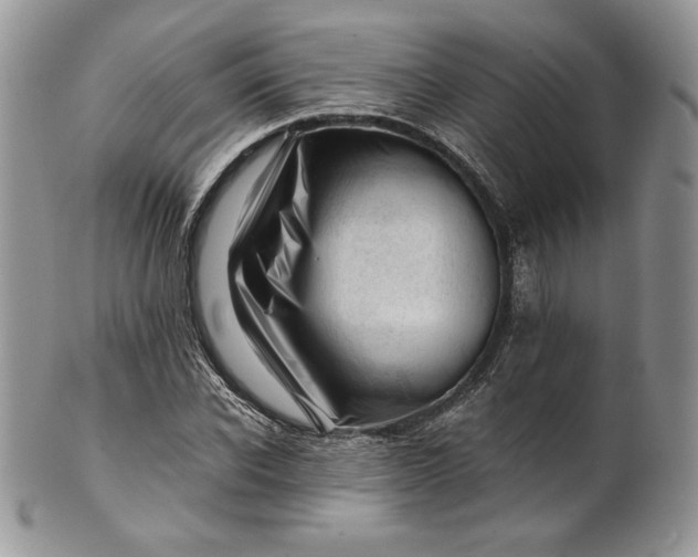 X0000101960926200808011104