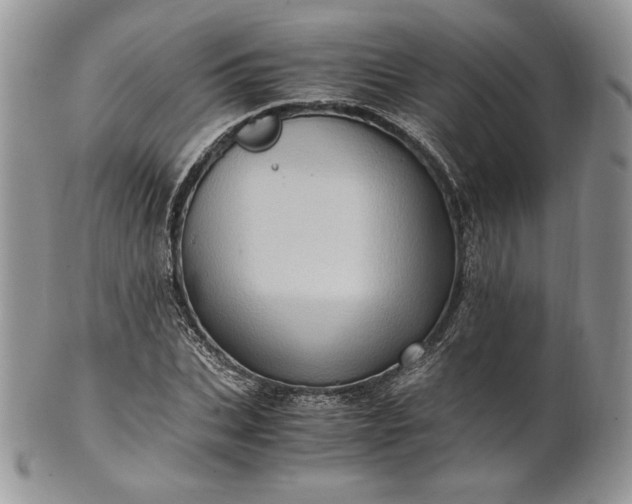 X0000101960927200808011104