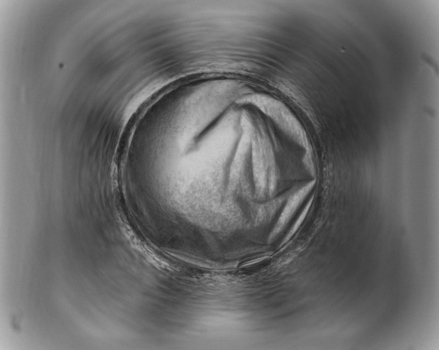 X0000101960928200808011104