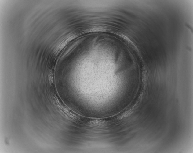 X0000101960929200808011104