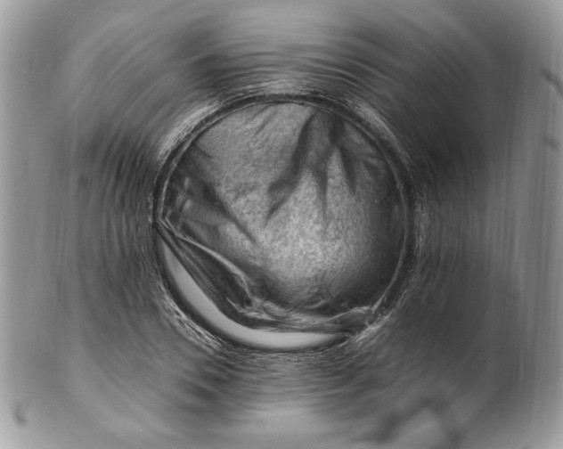 X0000101960930200808011104