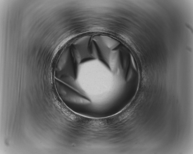 X0000101960931200808011104