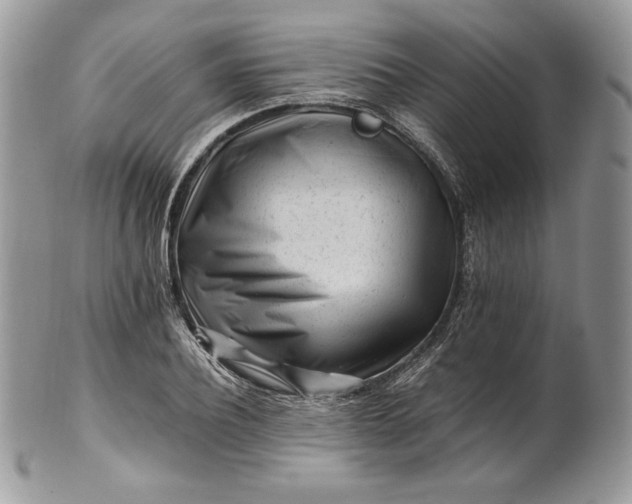 X0000101960932200808011104