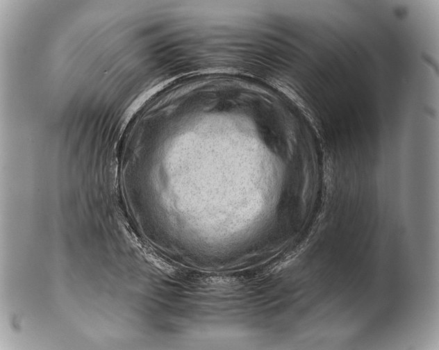 X0000101960933200808011104