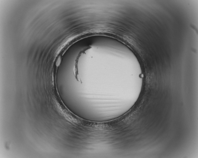 X0000101960934200808011104