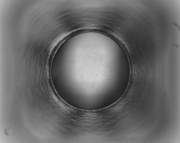 X0000101960935200808011104