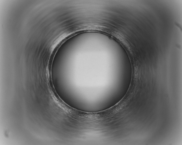 X0000101960936200808011104