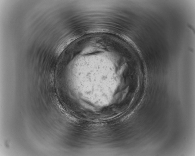 X0000101960937200808011104