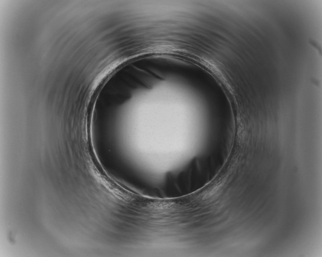 X0000101960939200808011104