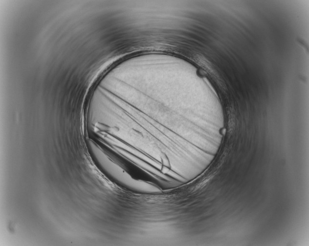 X0000101960940200808011104