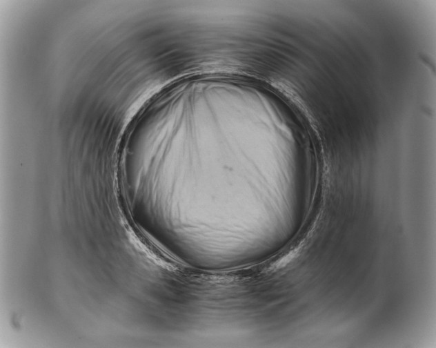 X0000101960941200808011104